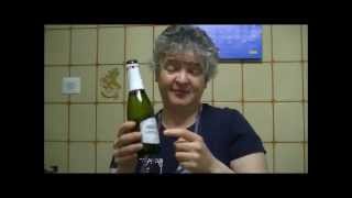 850  Receta Postres Thermomix Sorbete de fresas con champagne [upl. by Frank]