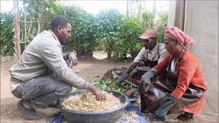 LemoVermi Compost Preparation [upl. by Olzsal]