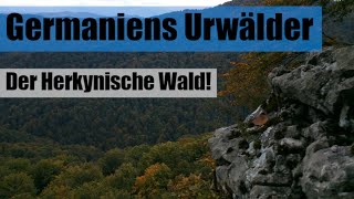 Der Herkynische Urwald  die grüne Hölle Germaniens [upl. by Nnovahs441]