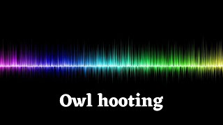 Owl hooting sound effect [upl. by Farika57]