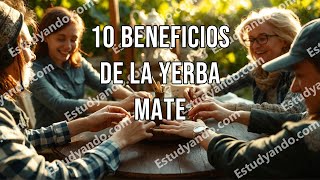 10 Beneficios de la Yerba Mate [upl. by Alimat]