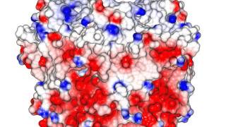 Pentameric Channel Nicotinic Acetylcholine Receptor Homolog with sound [upl. by Aisnetroh]