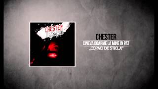 Chester  Copaci de sticla feat Catalin Coma [upl. by Niassuh]