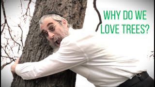 Why do we love tree [upl. by Randell]