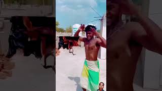 surajroxfunnyvibeo funny comedy [upl. by Lennaj601]