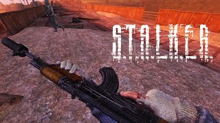 STALKER ANOMALY WEAPON OVERHAUL v22 [upl. by Lonnard]