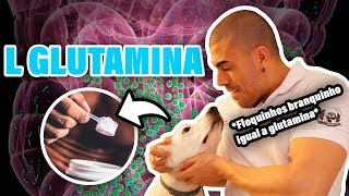 Tudo sobre L Glutamina [upl. by Winchell979]