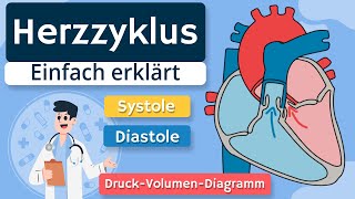 Herzzyklus  Systole Diastole und DruckVolumenDiagramm einfach erklärt [upl. by Lleruj501]