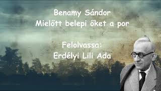 Benamy Sándor  Mielőtt belepi őket a por  Legenda Ady fiáról  hangoskönyv [upl. by Jaella]