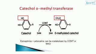 catecholOmethyltransferase [upl. by Ettenrahs100]