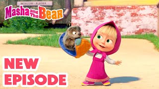 Masha and the Bear 2024 🎬 NEW EPISODE 🦔 My CutiePatootie 🥰 🎬 Best cartoon collection [upl. by Ibba]