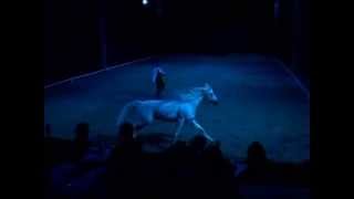 Gala of The Royal Horses  Show Footage [upl. by Osithe]