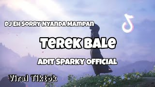 DJ EH SORRY NYANDA MAMPAN FYP TIKTOK‼️TEREK BALE  Adit Sparky Official Nwrmxx Fullbass [upl. by Ardiedal244]