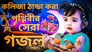 কলিজা ঠান্ডা করা সুরে পৃথিবীর সেরা গজল। New 2023 Bangla Gojol  SelimShikhon 2025 [upl. by Anawyt]