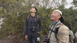 【島嶼路】20190512  高山上的遷徙路台14甲  合歡山公路 引路人 雪羊 [upl. by Bonine158]