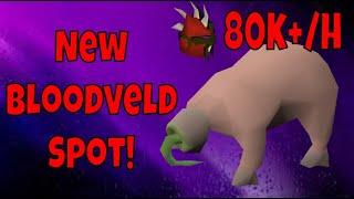 New Bloodveld Slayer Spot  80kh Slayer xp  Bloodveld Slayer Guide 2020 [upl. by Ayihsa]