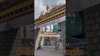 Shortcut to Dalai Lama Temple mcleodganj dalailama himachal livefreehostels [upl. by Barvick]