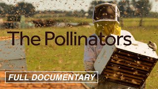 The Pollinators FULL MOVIE Bees Food Supply Environment  AwardWinning Documentary [upl. by Iuq153]