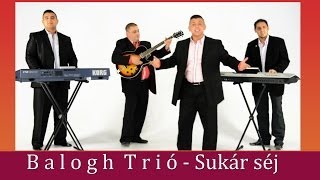 Balogh Trió Joci Sukár séj Official zgstudio video [upl. by Morrill]