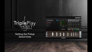 TriplePlay Host Getting Started  05  Pickup Sensitivities Setup [upl. by Dela]