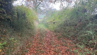 Pentridge hill trail run [upl. by Nelyaw807]