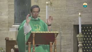 Daily Mass at the Manila Cathedral  August 13 2024 730am [upl. by Gant]