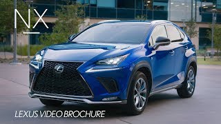 The 2019 Lexus NX Walk Around Video [upl. by Ube]