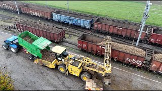 Zuckerrüben von der Saat bis zur Bahn 🇨🇭🚜🚂 [upl. by Alledi]