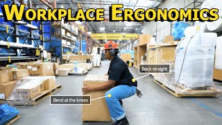 Workplace Ergonomics [upl. by Esinev]