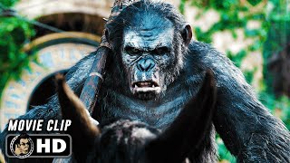 Apes Do Not Want War Scene  DAWN OF THE PLANET OF THE APES 2014 SciFi Movie CLIP HD [upl. by Peper]