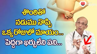 Nadumu Noppi  శొంఠితో నడుము నొప్పి ఒక్క రోజులో మాయం Dr Ch Madhusudana Sarma  TeluguOne Health [upl. by Ymmaj144]