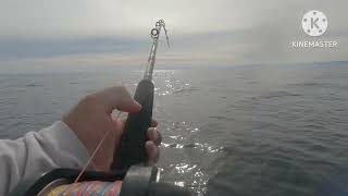 gonzaga bay fishing FEMA team by bigbass sport fishing San Felipe baja ca [upl. by Eytak800]