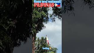 Itaas ang watawat ng PILIPINAS 🇵🇭 philippines lupanghinirang filipino pinoy pilipinas pilipino [upl. by Oidacra17]