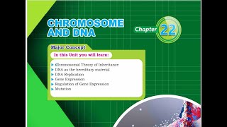 Chromosome and DNA part 1 [upl. by Kcirednek607]