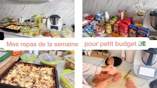 ORGANISATION  repas de la semaine petit budget 💶 Batch cooking [upl. by Oswin992]