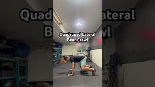 Quadruped Lateral Bear Crawl [upl. by Gariepy283]