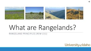 What are Rangelands [upl. by Avir]