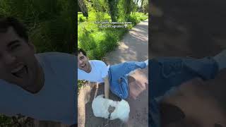 sono io però con i gatti😩✌️tiktok di Romano Alessandro [upl. by Elleinad]