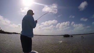 Spring Break Caye Caulker Belize [upl. by Wally]