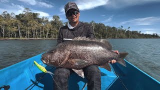 80cm Papuan Bass struck by the boat BONE Combat Beast rod did the job well [upl. by Occer]