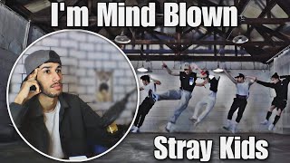 Dancer React to Stray Kids스트레이 키즈 quotBack Doorquot Dance Practice [upl. by Euginimod]