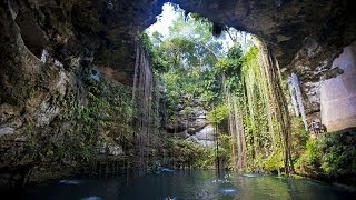 Cenote Chichen Itza Mexico [upl. by Sherborne]