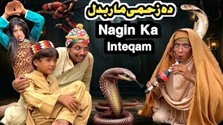 Nagin Ka Inteqam Da Zahme Maar Badal  New Funny Video 2024 by Tuti Gull Vines [upl. by Grail675]