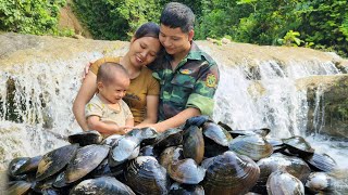 Harvesting clams to bring to the market  cooking together every day  Small family life [upl. by Monetta]