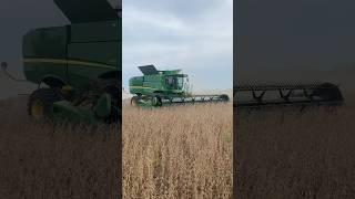 John Deere S660 with 35ft draper head combine harvest farmlife [upl. by Cordova281]