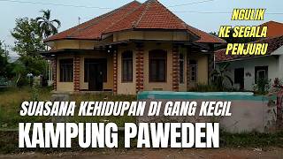 KELILING SUASANA KEHIDUPAN DI GANG KECIL KAMPUNG PAWEDEN TEGAL [upl. by Lemay]