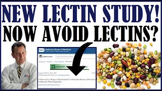 New Lectin Study Should We Now Avoid Lectins [upl. by Shamrao]