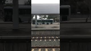 Transperth Buses At East Perth Terminal [upl. by Aker]