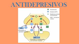 Depresión y serotonina [upl. by Nohcim57]