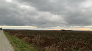 Sandhill Cranes coming in near Strongville Nov 2124 [upl. by Akerdna]